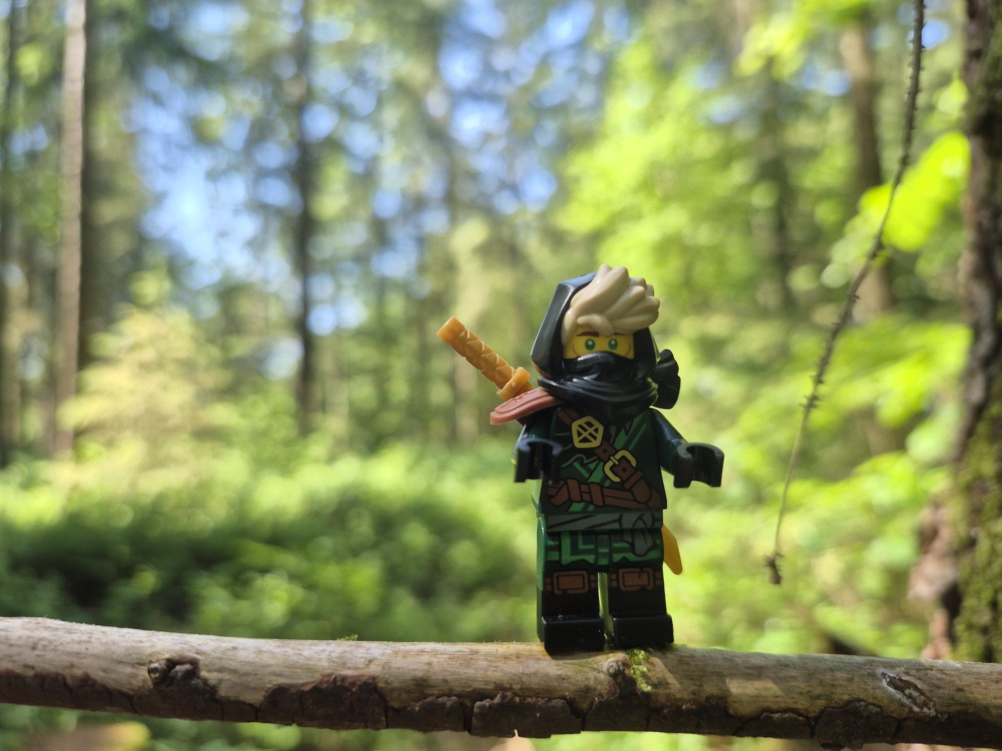 A LEGO ninja minifigure hanging from a branch in the woods
